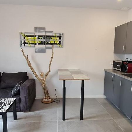 Logement Au Calme Sur Le Bassin D Arcachon Villa Le Teich Eksteriør billede